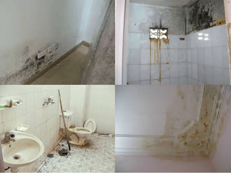 Các Sự Cố Chống Thấm Thường Gặp Vào Dịp Cuối Năm Tại Hà Nội Và Giải Pháp Chống Thấm Hiệu Quả Của Nhuận Phát